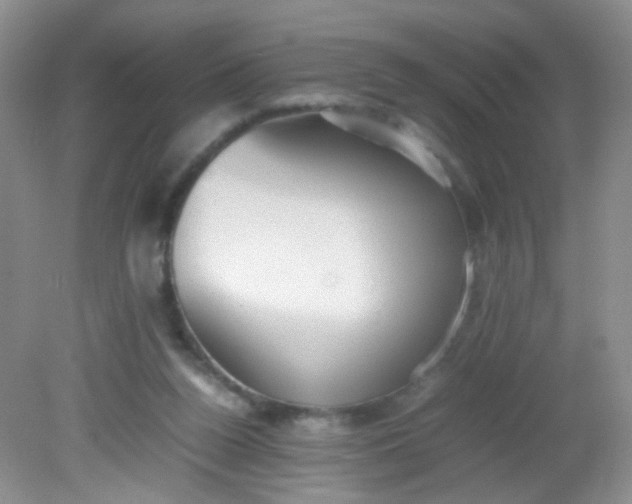 X0000081590160200701291328