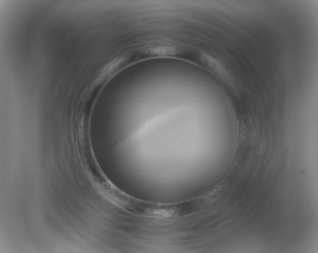 X0000081590163200701291328