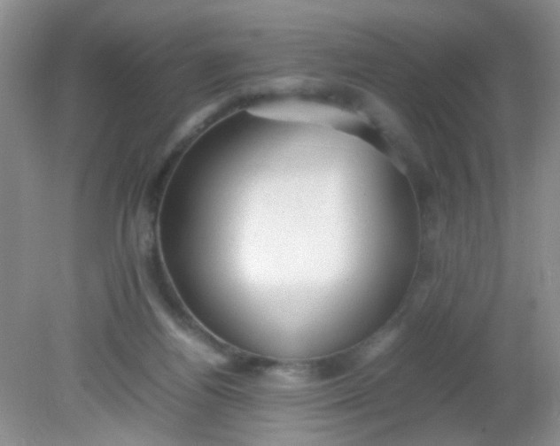 X0000081590164200701291328