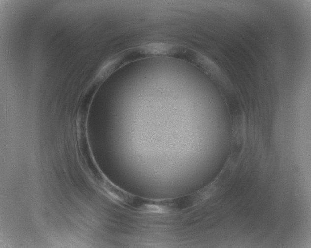 X0000081590167200701291328