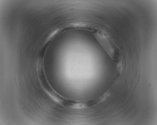 X0000081590168200701291328
