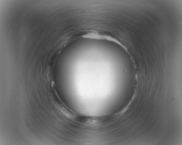 X0000081590174200701291328