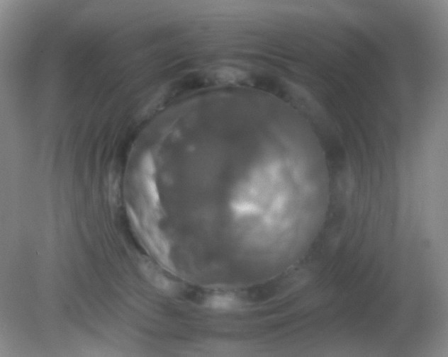 X0000081590177200701291329