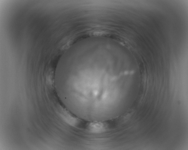X0000081590181200701291329