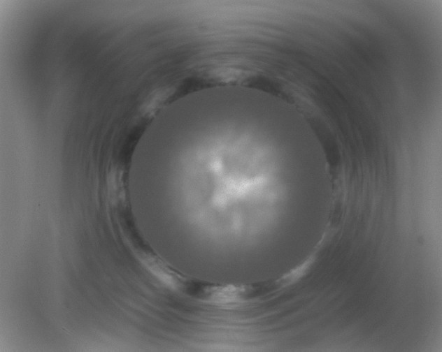 X0000081590182200701291329
