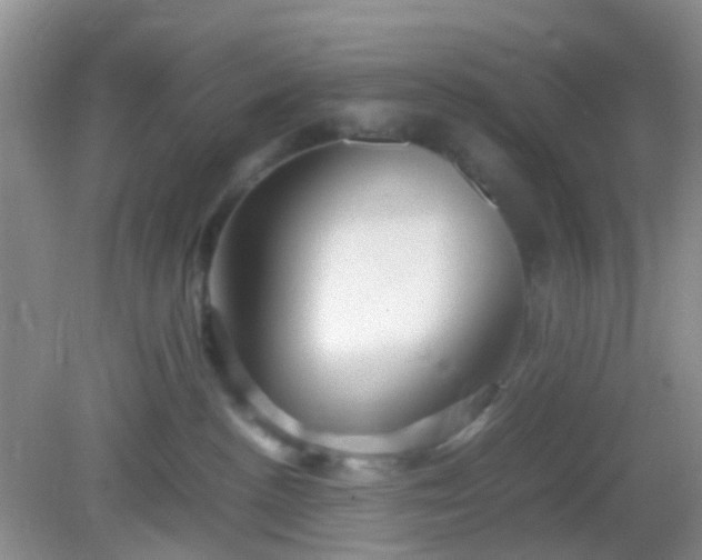X0000081590188200701291329