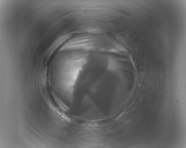 X0000081590194200701291328