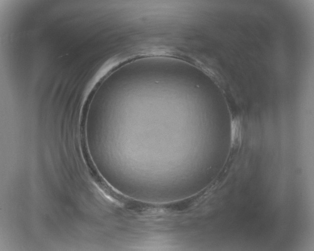 X0000081590195200701291328