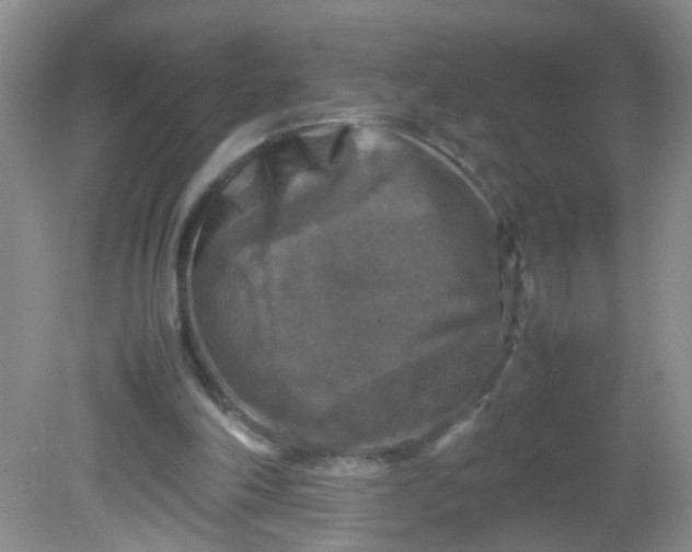 X0000081590198200701291328
