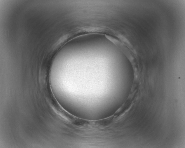 X0000081590201200701291328