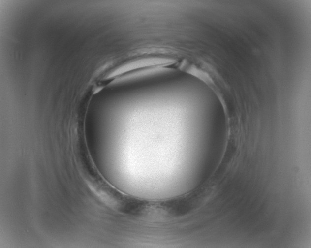 X0000081590207200701291328