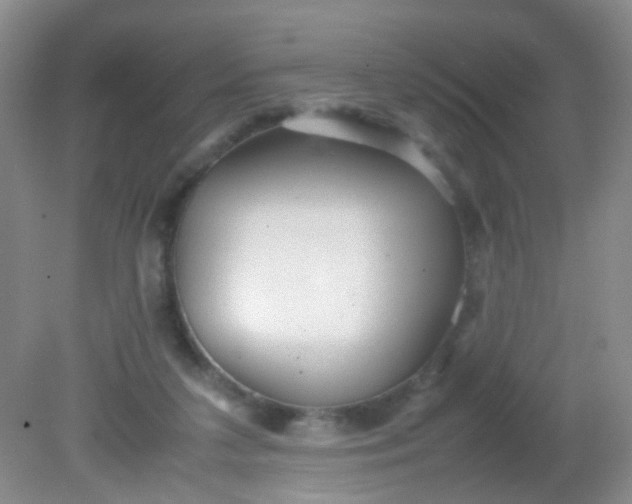 X0000081590211200701291328