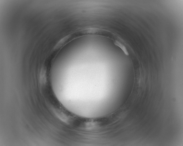 X0000081590216200701291328
