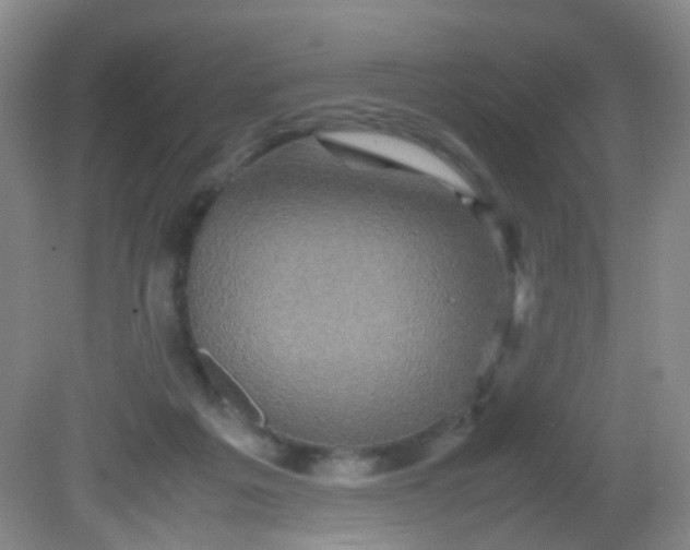 X0000081590217200701291328