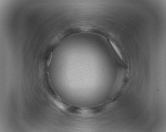 X0000081590221200701291328