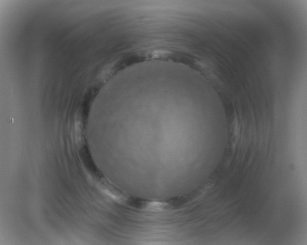 X0000081590222200701291327