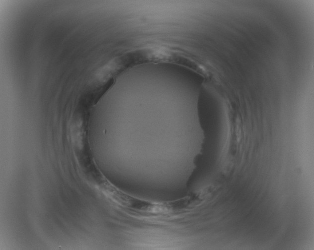 X0000081590223200701291327