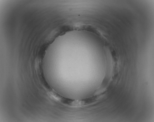 X0000081590225200701291327