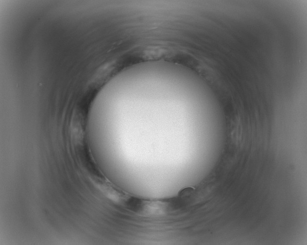 X0000081590226200701291327