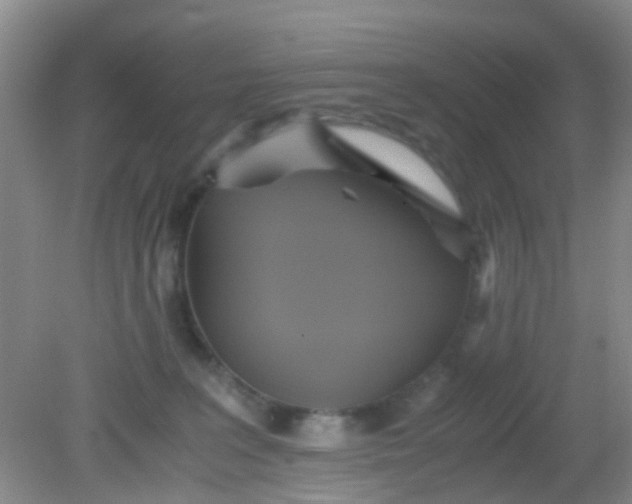 X0000081590227200701291327