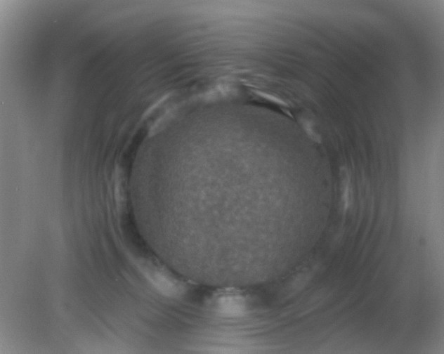 X0000081590228200701291327