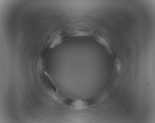 X0000081590231200701291327