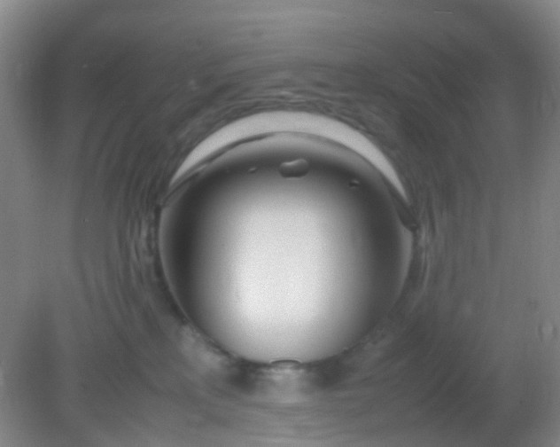 X0000081590233200701291327