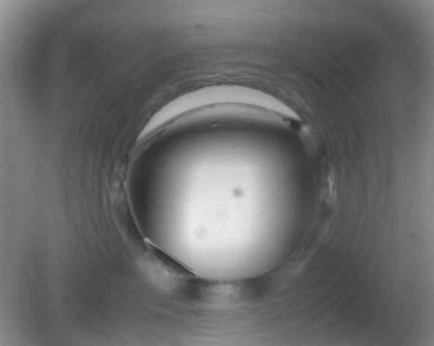 X0000081590237200701291327