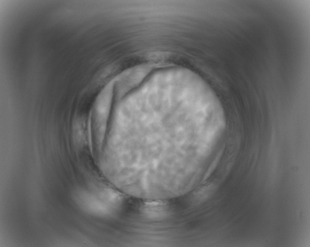 X0000081590240200701291327