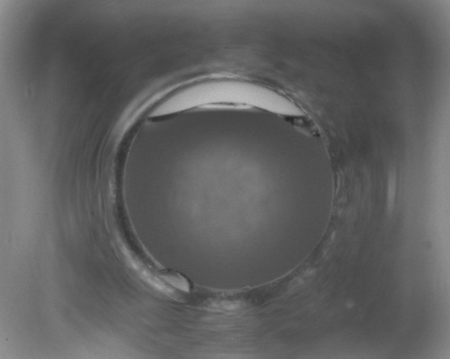 X0000081590247200701291326