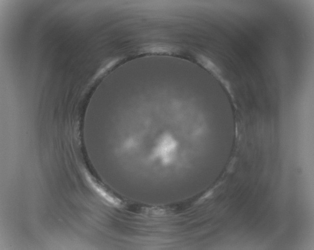 X0000081590249200701291327