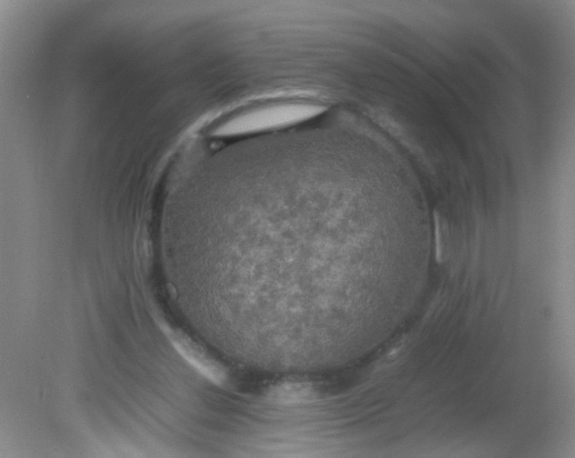 X0000081590252200701291327