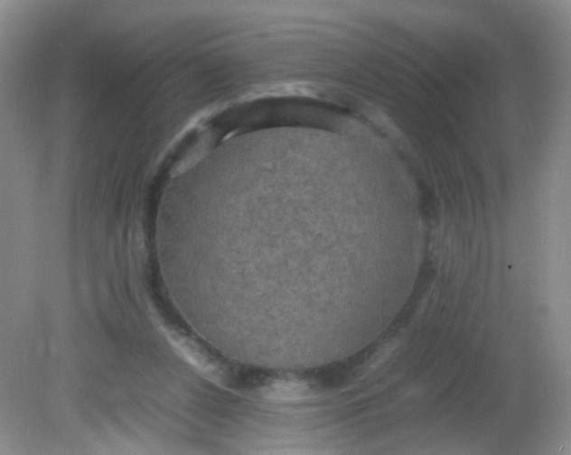 X0000081590256200701291327