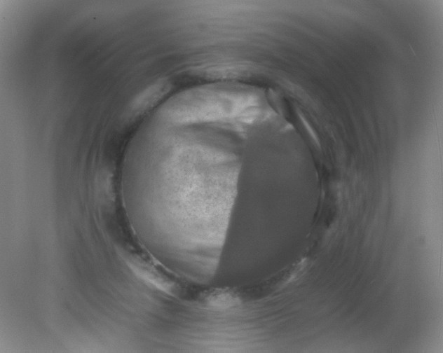 X0000081590258200701291327