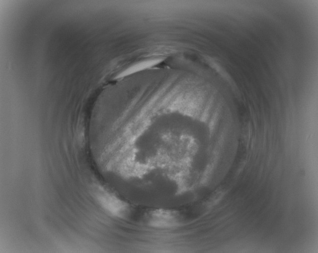 X0000081590261200701291327