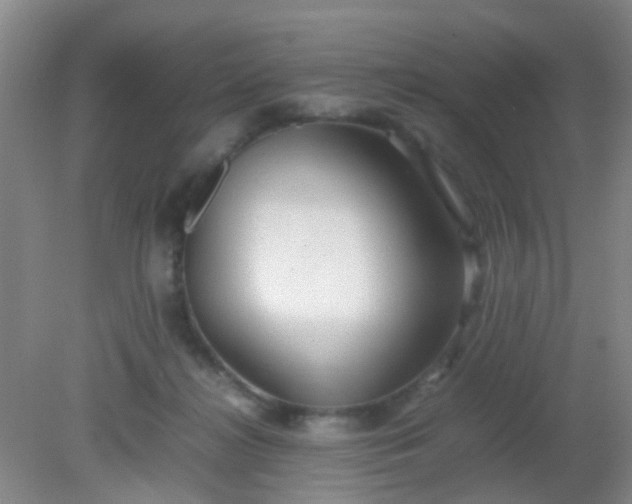 X0000081590268200701291327