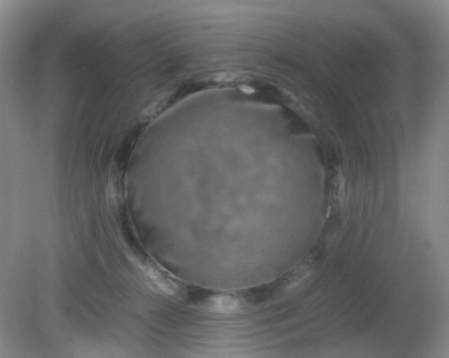 X0000081590272200701291327