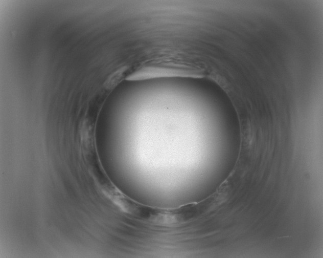 X0000081590276200701291327