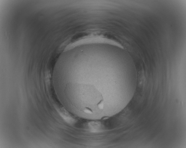 X0000081590279200701291327