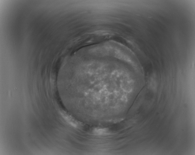 X0000081590283200701291327