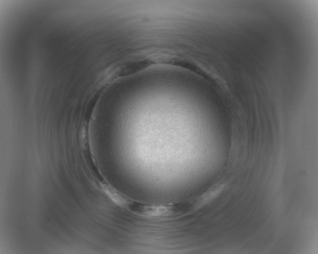 X0000081590288200701291327
