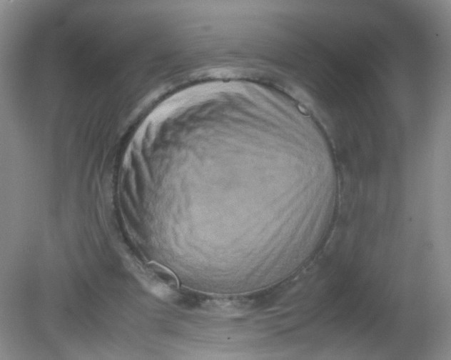 X0000081590297200701291326
