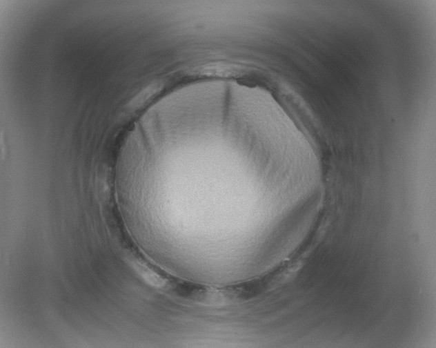 X0000081590305200701291326