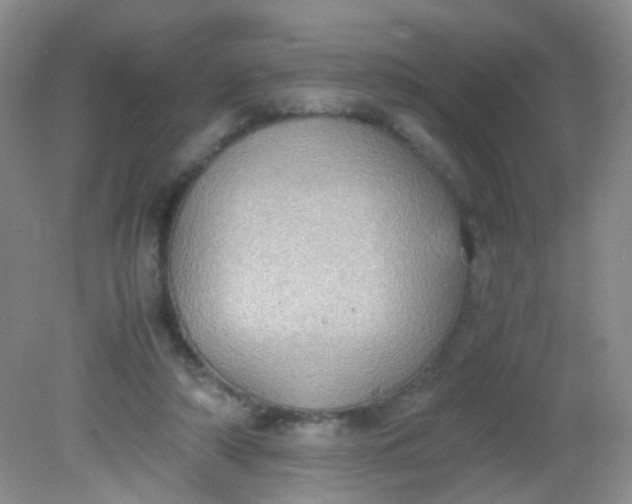X0000081590306200701291326