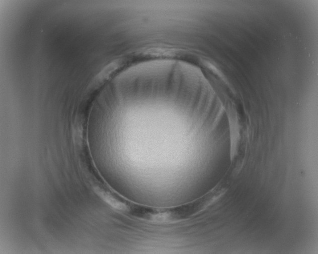 X0000081590309200701291326