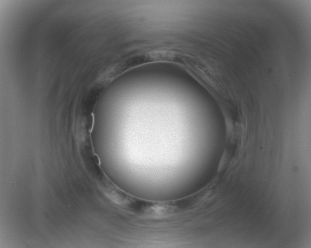 X0000081590323200701291326