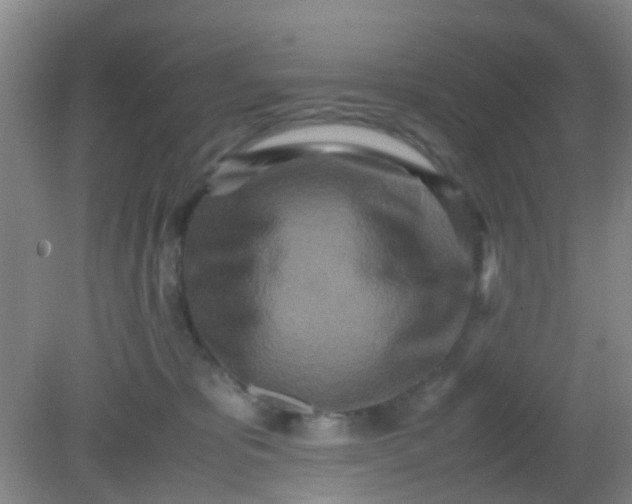 X0000081590325200701291326