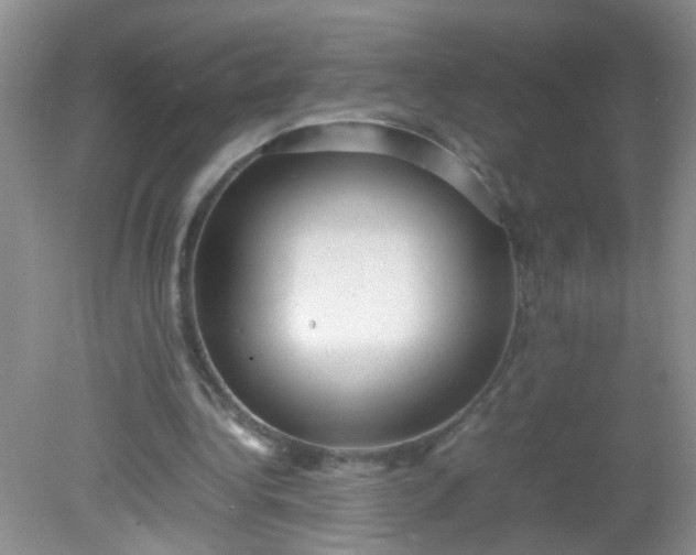 X0000081590340200701291325