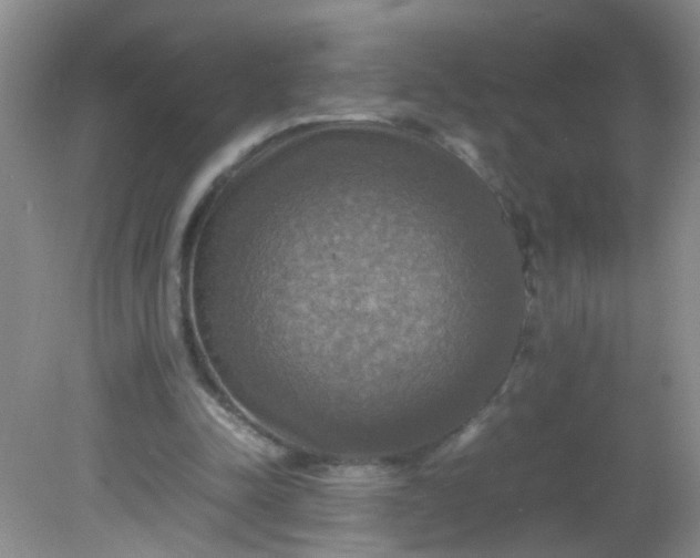 X0000081590342200701291325