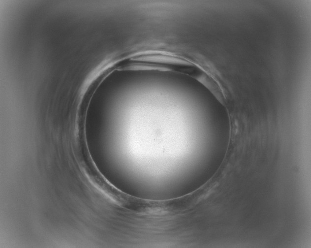 X0000081590344200701291325